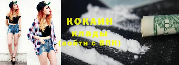 индика Баксан