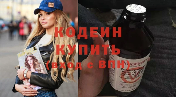 индика Баксан