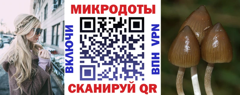 купить наркоту  ОМГ ОМГ ТОР  Галлюциногенные грибы Magic Shrooms  Тюкалинск 
